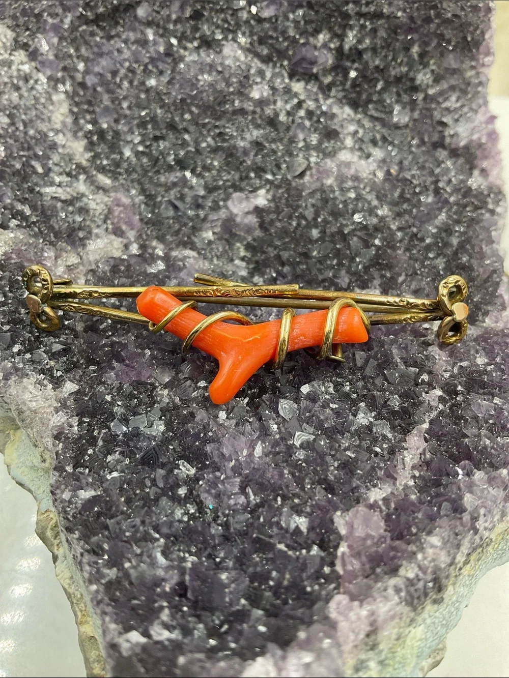 Vtg. 1880’s Victorian Red Branch Coral Affixed To A Gold Filled Ornate Brooch